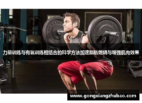 力量训练与有氧训练相结合的科学方法加速脂肪燃烧与增强肌肉效果