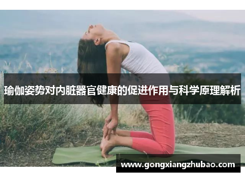 瑜伽姿势对内脏器官健康的促进作用与科学原理解析