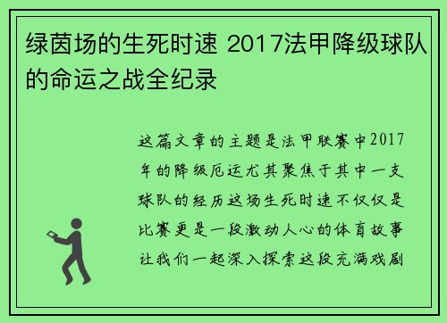 绿茵场的生死时速 2017法甲降级球队的命运之战全纪录